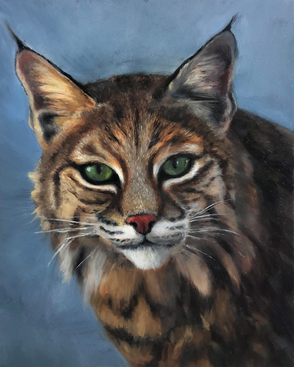 Bobcat by Laurie Maher