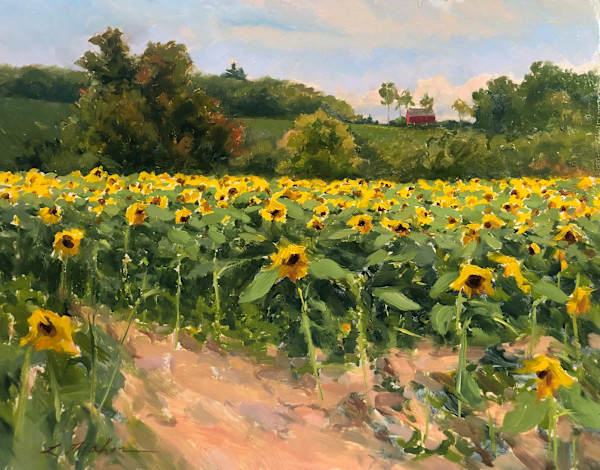 Sussex County Sunflower Fields by Laurie Maher