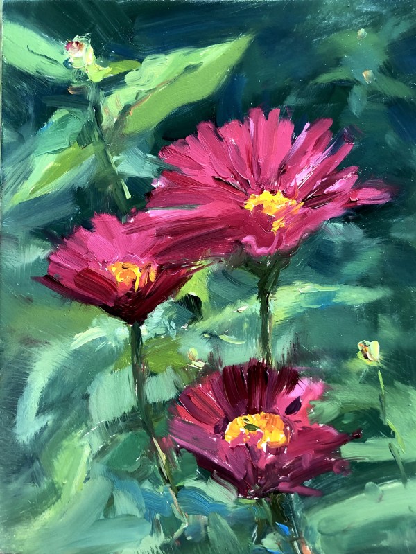 Magenta Daises by Laurie Maher
