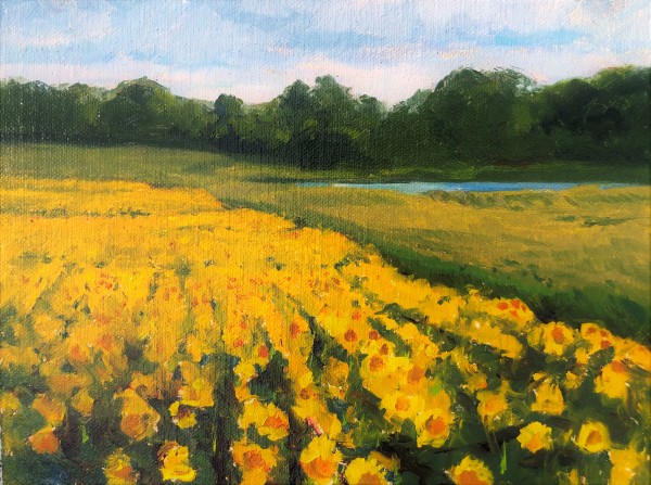 Sunflower Fields by Laurie Maher