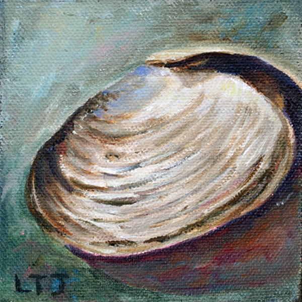 Clam by Laura Tryon Jennings