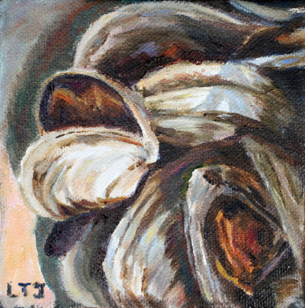 Clams #2 by Laura Tryon Jennings