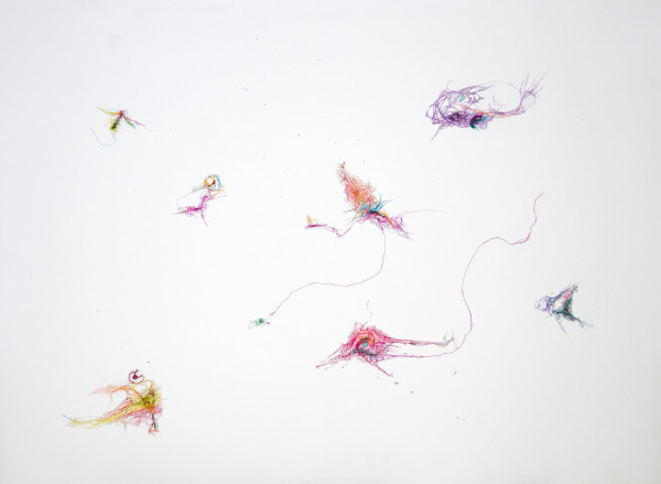 Feather on a Silver Platter