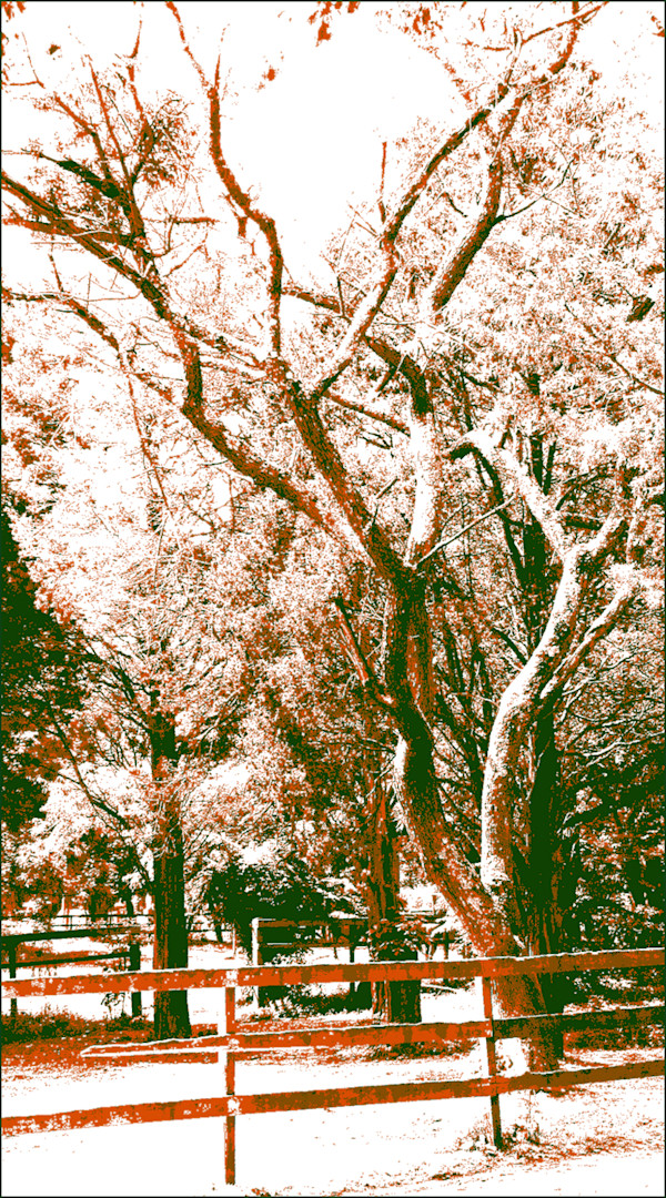 Tree v3 by Don Leverich