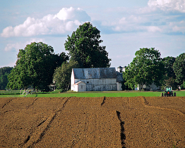 Farm, Cutchogue, NY by Don Leverich