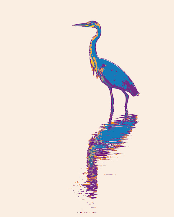 Wading, Mt Sinai NY by Don Leverich