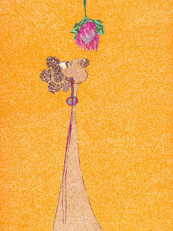 Queen Protea by Tasanee Durrett
