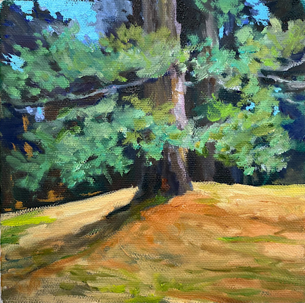 Memories of Limberlost by Cathy Boyd Fine Art
