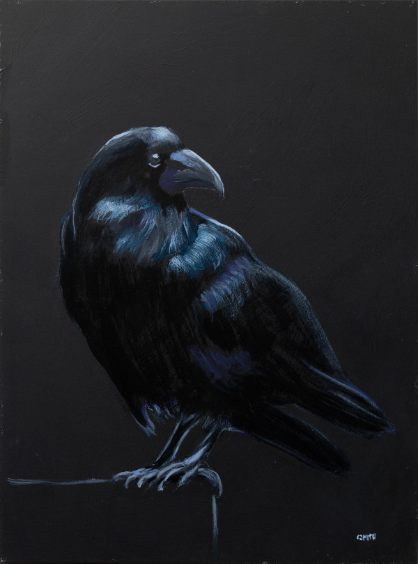 Raven by Cath Smith