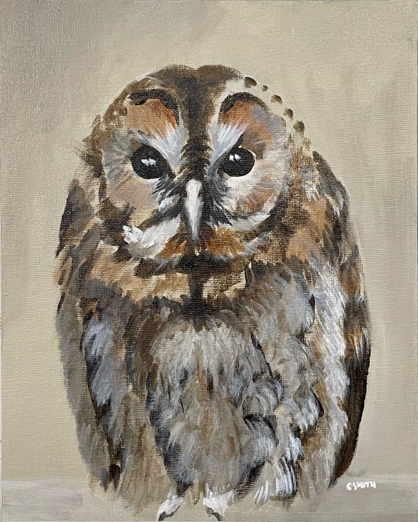 Owl by Cath Smith