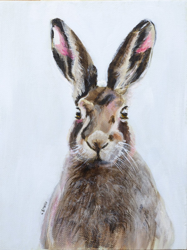 Hare by Cath Smith
