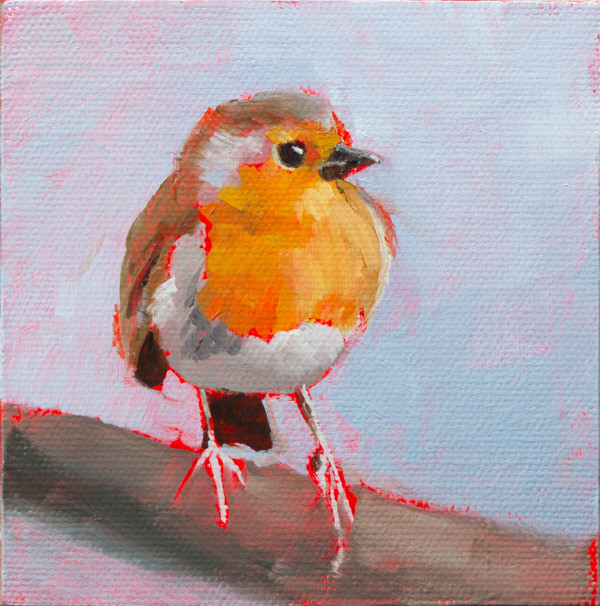 Winter robin by Cath Smith