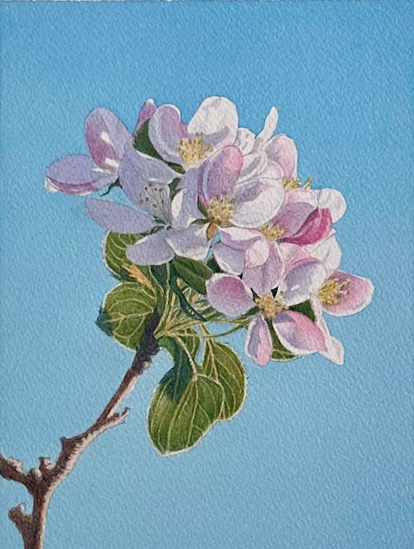 Spring Blossom by Tatjana Garibaldi