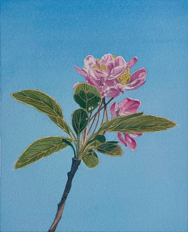 Spring Blossom #2 by Tatjana Garibaldi
