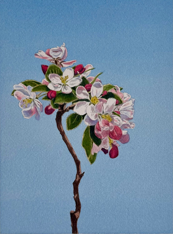Spring Blossom #3 by Tatjana Garibaldi