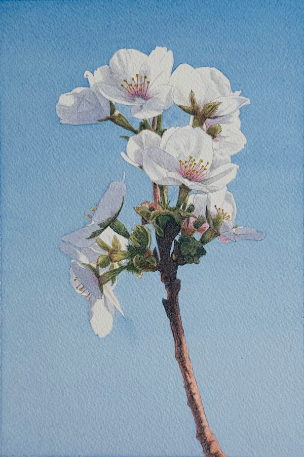 Spring Blossom #4 by Tatjana Garibaldi