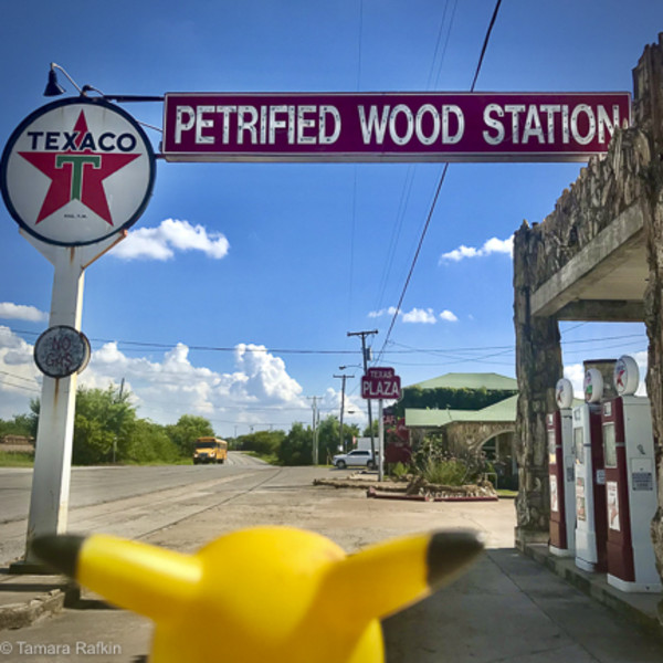 Ears Across America: Petrified Wood Station, Texas.