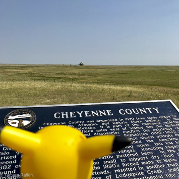 Ears Across America : Cheyenne County, Nebraska