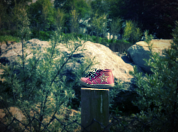 Lost&Found no1  Plankendael, Belgium Ed. 2 of 10. by Tamara Rafkin, Image 1.