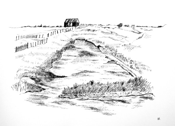 Rye Nature Reserve
