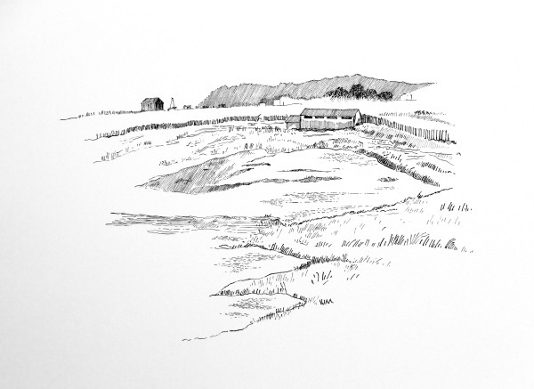The Hide