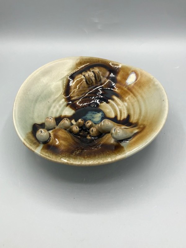 Biomorphic Plate or Bowl by Daniel Price