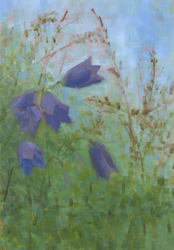 Bláklukka 01 by Linda Jen Art