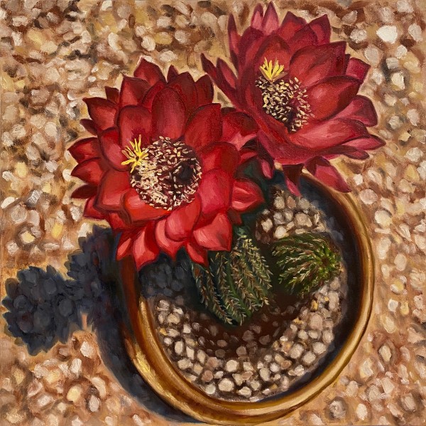 Blooming Cactus by Gerlyn Friesenhahn