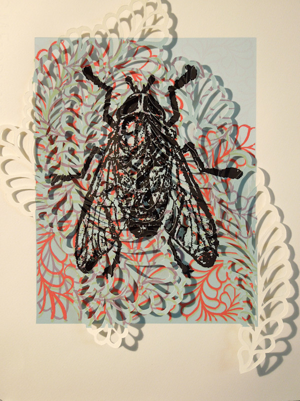 Fly in the Room 1/6 by Jodi Hoover, Image 1.