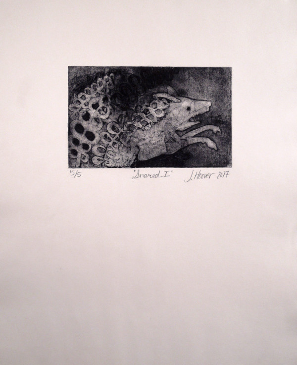 Snared I, edition image.