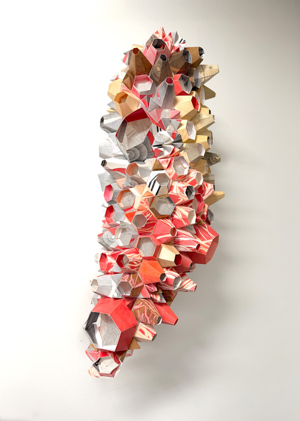 Big Sponge by Alex Schoenberg