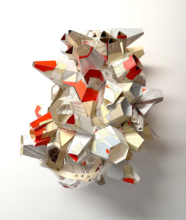 Little Sponge by Alex Schoenberg