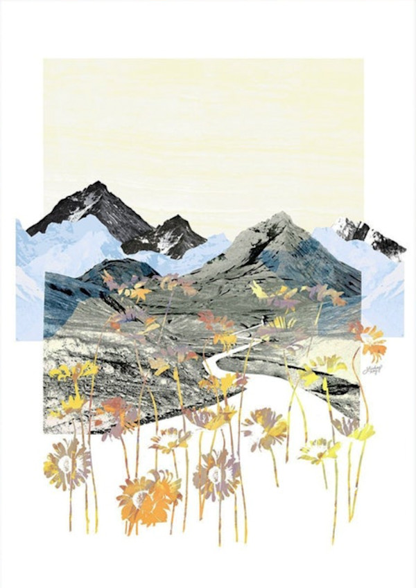 Daisy Mountain by Lindsey Kay, Image 1.