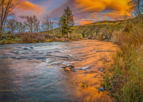 Nevada Gold by Scott McGuire, Image 1.