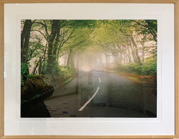 Shrouded Journey by Steve Solinsky, Image 2.
