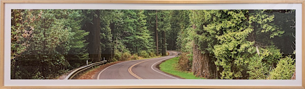 Back Road – North Coast Redwood Forest by Stephen Chandler, Image 1.