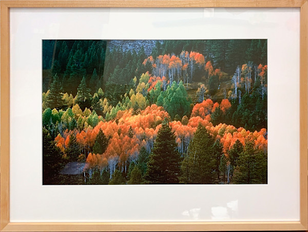 Hope On Fire (Hope Valley) by Dirk Yuricich, Image 1.
