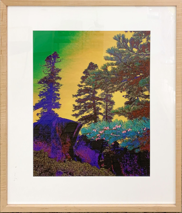 Iridescent Tahoe by Frances Mullen, Image 1.