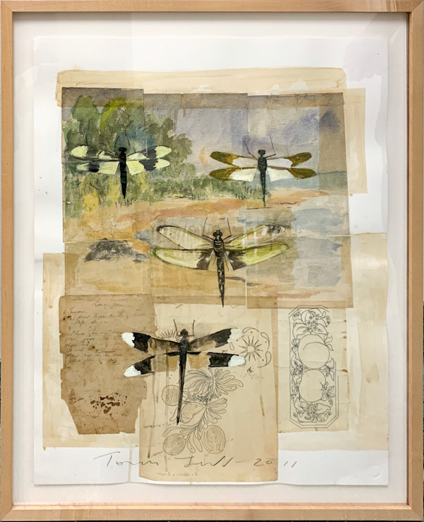 Dragonflies by Tom Judd, Image 1.
