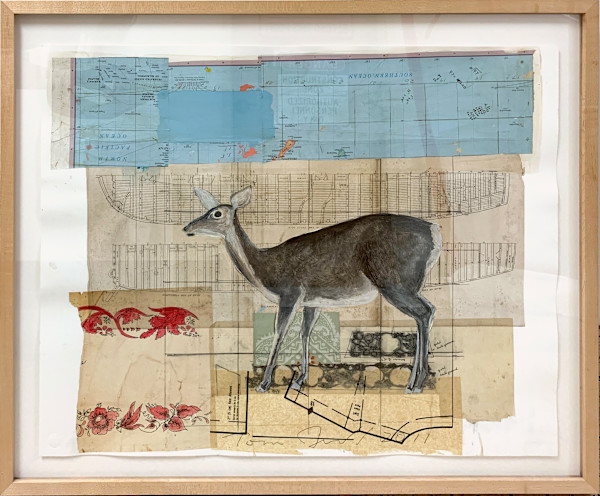 Deer by Tom Judd, Image 1.