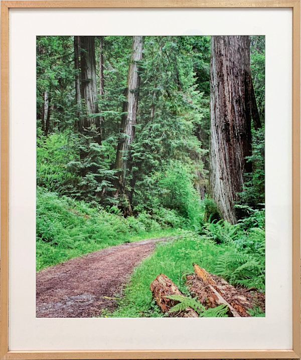Lost Man Creek by Stephen Chandler, Image 1.