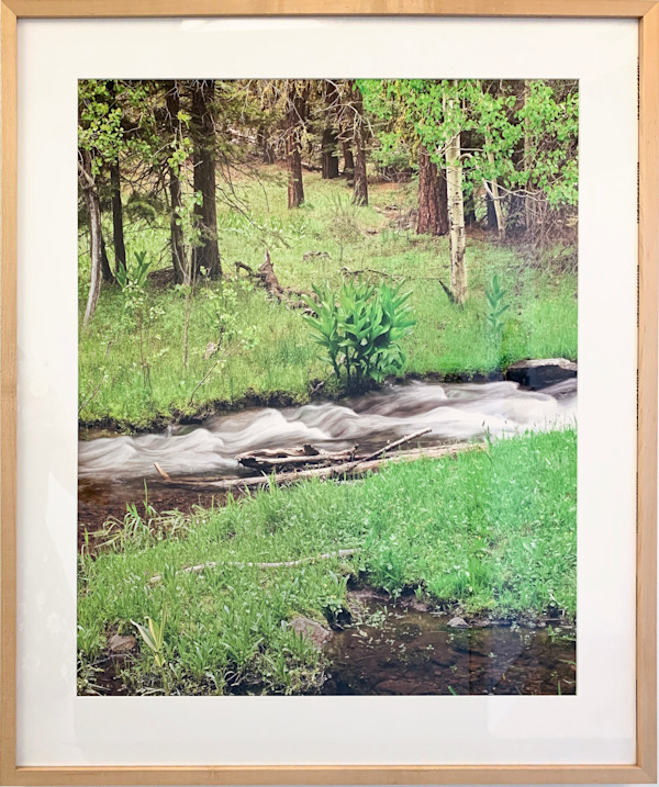 Fitzhugh Creek by Stephen Chandler, Image 1.