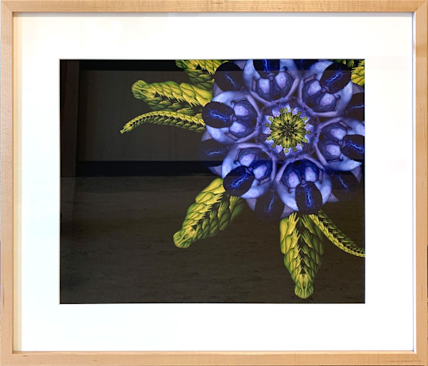 Blue Bell by Cecelia Webber, Image 1.