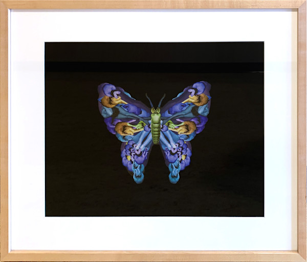Cerulean by Cecelia Webber, Image 1.