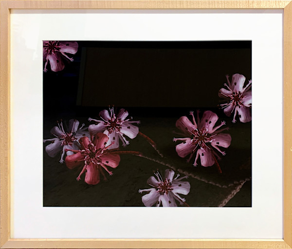 Cherry Blossom by Cecelia Webber, Image 1.