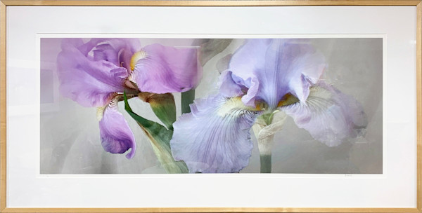 Iris 22 by Hunt Witherill, Image 1.