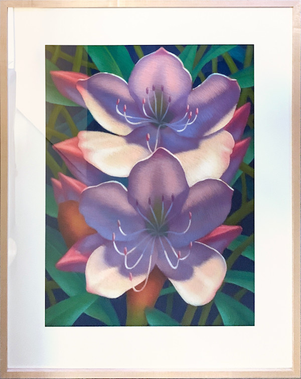Rhododendron Blossoms II by Leonard Koscianski, Image 1.
