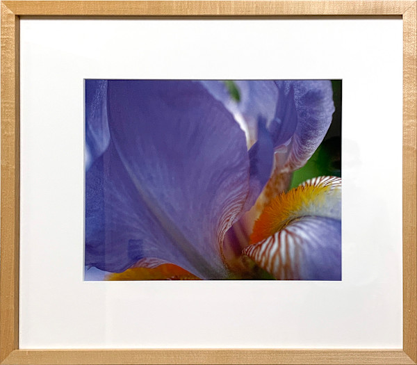 Iris by Ted Van Cleave, Image 1.