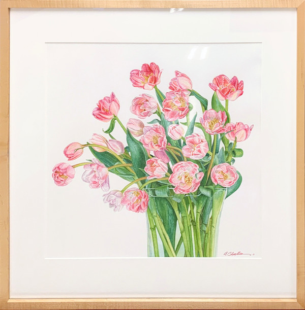 Pink Angelique Tulips by Annette Chandler, Image 1.