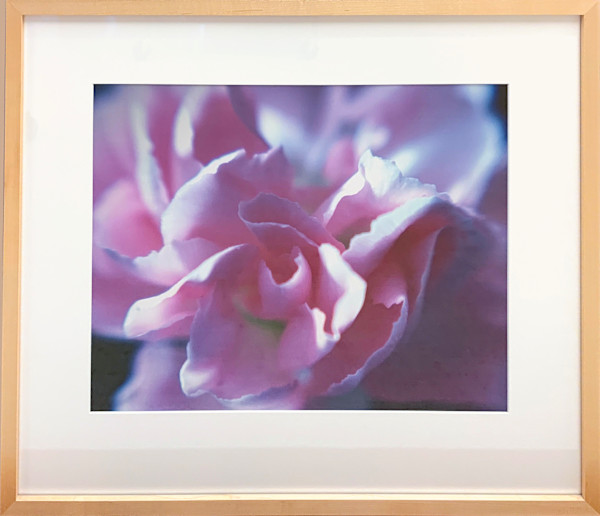 Pink Pleasure by Ted Van Cleave, Image 1.